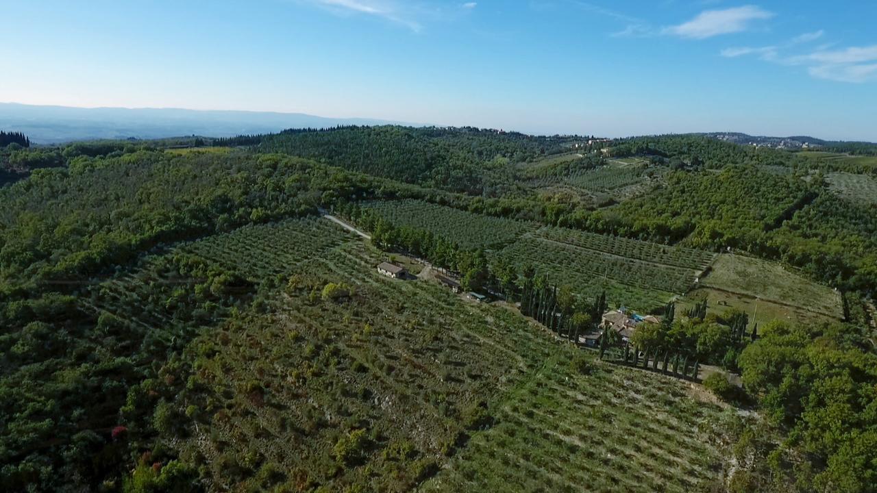 Podere Sagna Кастелина ин Кианти Екстериор снимка